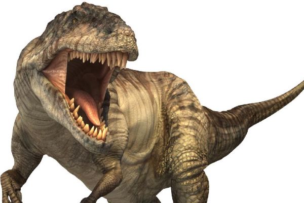 ���ѼͿ�����������Щ ���ѼͿ���ʵ������ǰʮ��