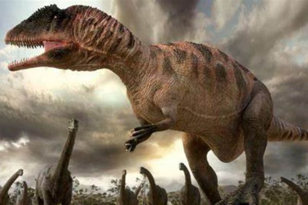 ���ѼͿ�����������Щ ���ѼͿ���ʵ������ǰʮ��