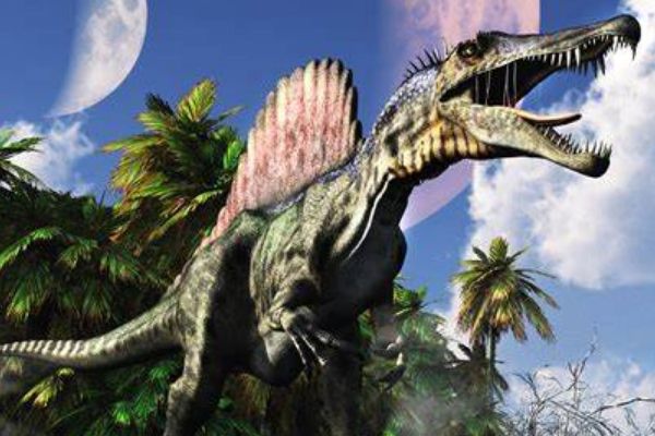 ���ѼͿ�����������Щ ���ѼͿ���ʵ������ǰʮ��