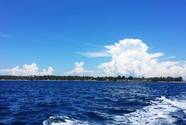 少女下海竟然下海了 下海是哪个行业