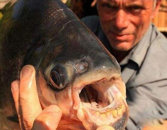 �˳���,ΪʲôҪ�Ե��� �˳��㹥����ϲ��ʲô��λ