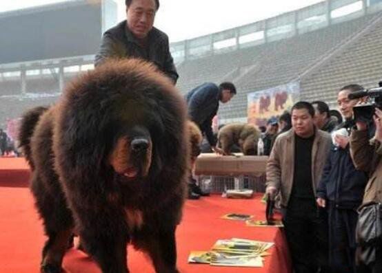 ��������ʲô���� ���ᾪ���޶���Ǯ