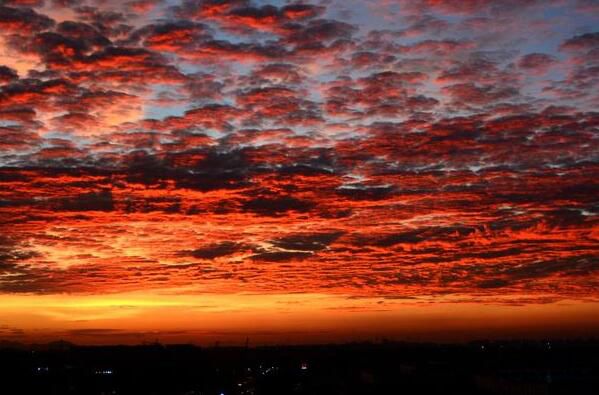 ��������ֲ���������ͼƬ �����˵Ĺ�������ʲô��