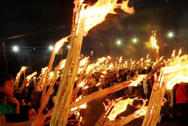 ��ѽ���ʲô��� ��ѽ���ÿ��ũ��ʲôʱ�����