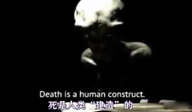 未来型小灰人图片 灰人是未来世界变异的人类