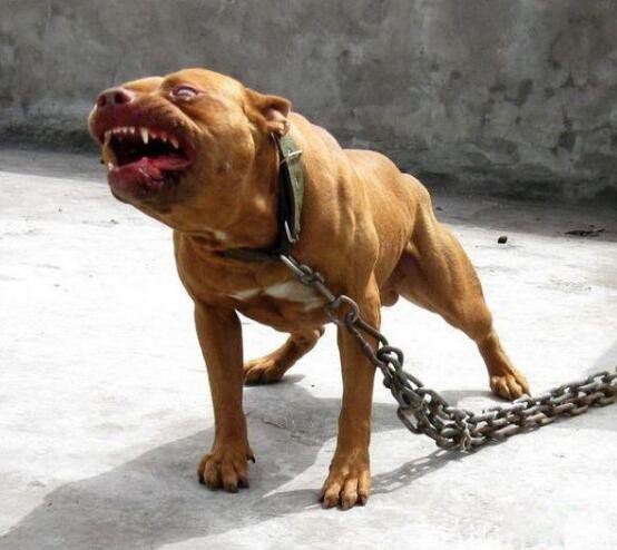 ��������ʲô���� ���ᾪ���޶���Ǯ