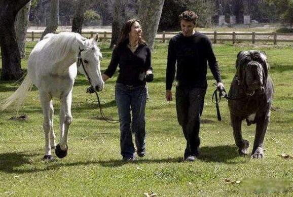 ��������ʲô���� ���ᾪ���޶���Ǯ