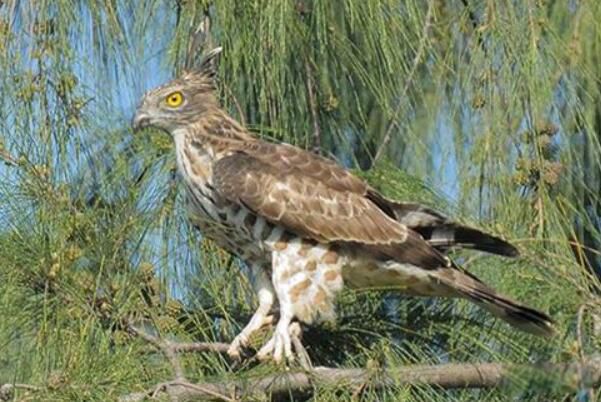 �ֹھ������������ �ֹھ���,������������