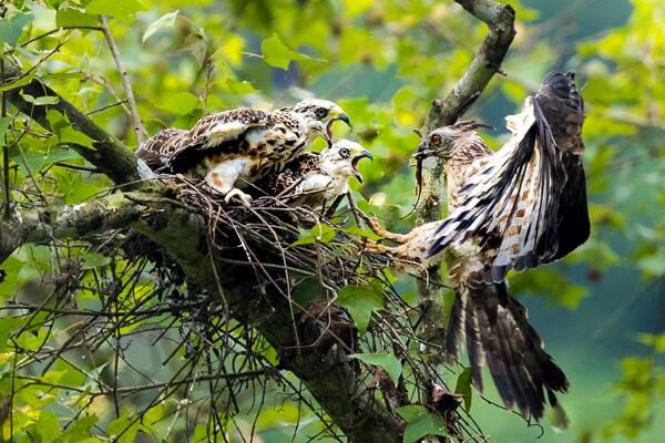 �ֹھ������������ �ֹھ���,������������