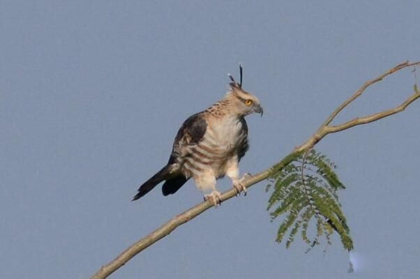 �ֹھ������������ �ֹھ���,������������