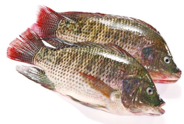 �޷����ǲ��Ǻ���?Ϊʲô�������� �޷����Ǻ��㻹�Ǻ���