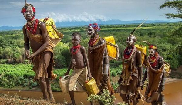 ����ѷԭʼɭ�����ĸ����� ����ѷԭʼɭ����ʲôΣ��(�ܿ���)