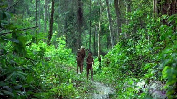 ����ѷԭʼɭ�����ĸ����� ����ѷԭʼɭ����ʲôΣ��(�ܿ���)