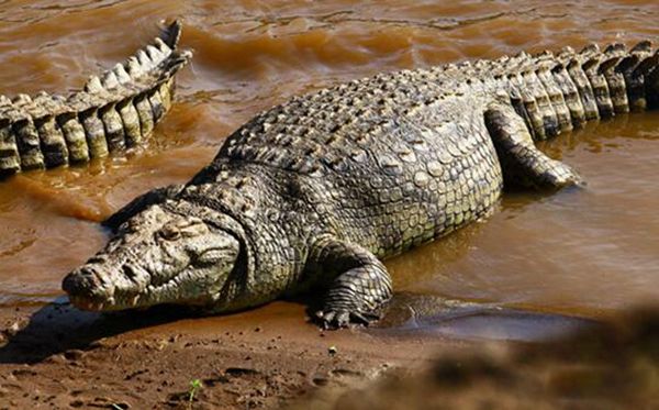 ���������ܶ����� �����������ද��