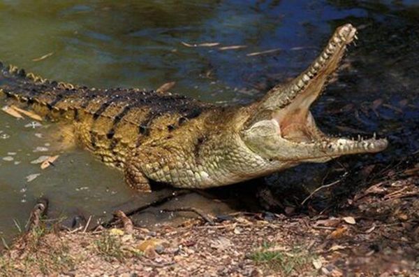 ���������ܶ����� �����������ද��