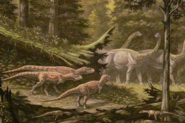 ��������͢����ʲô����ͼƬ ��������͢���ǲ�ʳ�Ի�����ʳ�Կ���