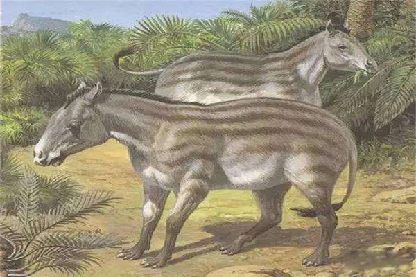 ʷǰʼ������ʲô���� ʷǰʼ����������������