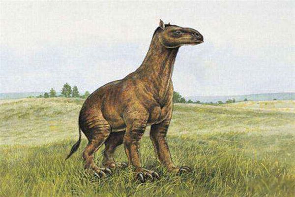 ʷǰʼ������ʲô���� ʷǰʼ����������������