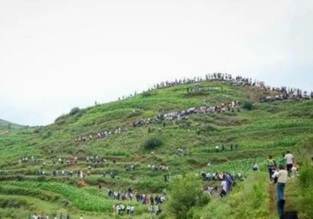 ��������ԭ����Ƶ��ô���� ���������϶����������