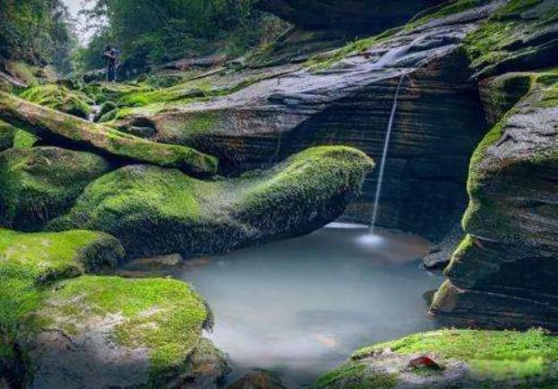 ��������ԭ����Ƶ��ô���� ���������϶����������