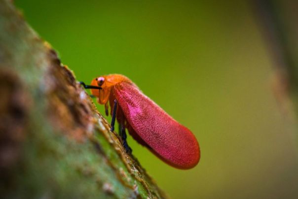 ĭ������� ĭ��Ϊʲô������ô��