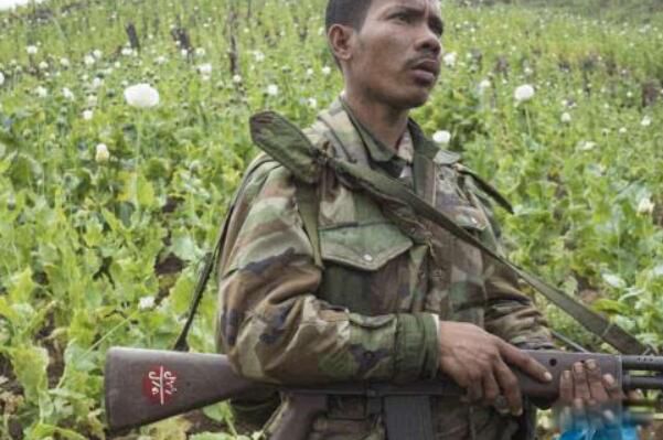 �����սԭ���������Щ �����ս���˶��?��������