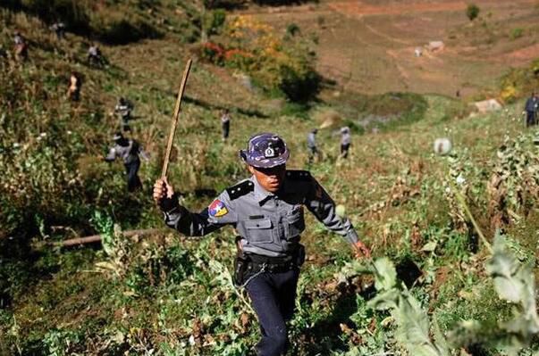 �����սԭ���������Щ �����ս���˶��?��������