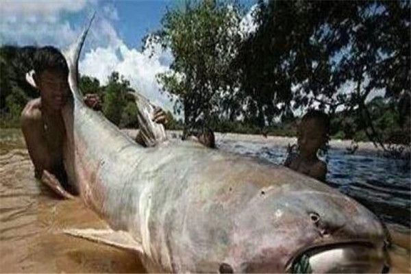 ��������ж����ʲô���� ����������293����