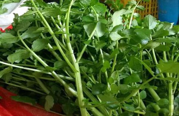 ������������� ������˵Ľ�����ʲô