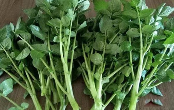 ������������� ������˵Ľ�����ʲô