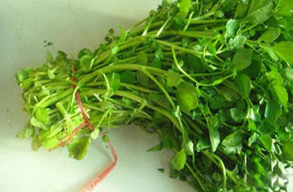 ������������� ������˵Ľ�����ʲô