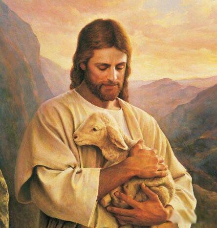 ����Ү�ջ�����ʲô�� ΪʲôҮ�ջ�����ô�Ŀֲ�