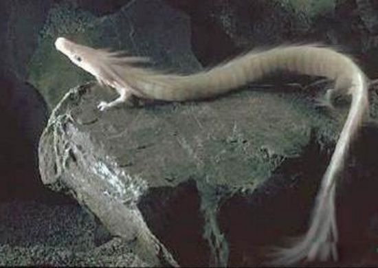 12�׾������������¼� ����12�׾��������¼�����