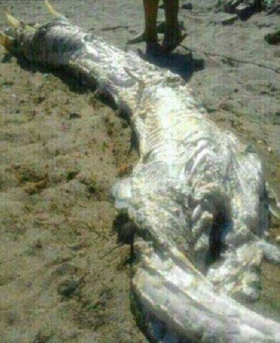 12�׾������������¼� ����12�׾��������¼�����