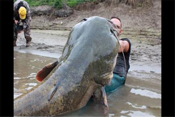 ��������ж����ʲô���� ����������293����