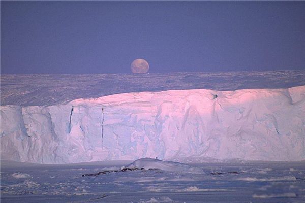 ���ı������ĸ��� �����ر����ж��