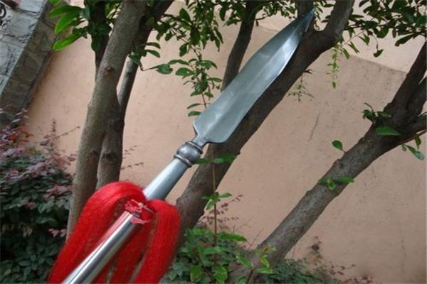 ʮ����˧�Ľ�����ͼƬ ��������˧��ʮ�ѽ������ֽ�ʲô