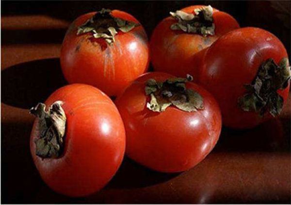 ������������ ���Ӳ��ܺ�ʲôʳ��һ���