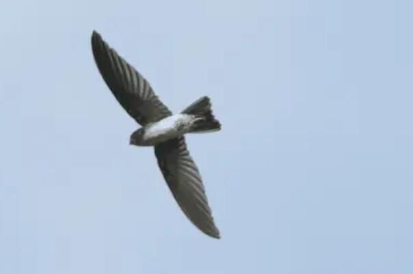 �����˿��ͼƬ�ֲ����� �����˿���ǹ��Ҽ�����������