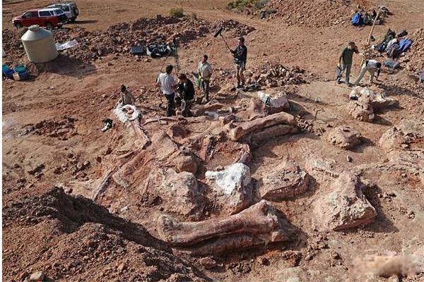 �����������Ͻ��� ������������ʲôʱ��