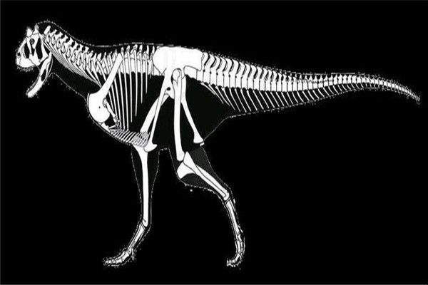 �����������Ͻ��� ������������ʲôʱ��