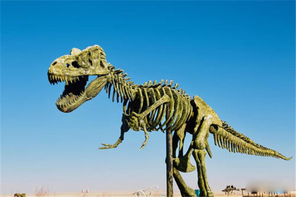 �����������Ͻ��� ������������ʲôʱ��