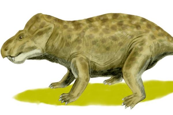 ��������ʲô���� ������������ʲôʱ��