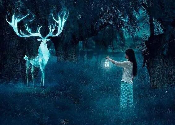 ǰ����������ʵ���ڵ��� ��ѧ�϶�ǰ����˵��������������