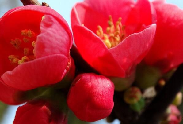 ������ʲô��˼ ���򹬻���������������ô��