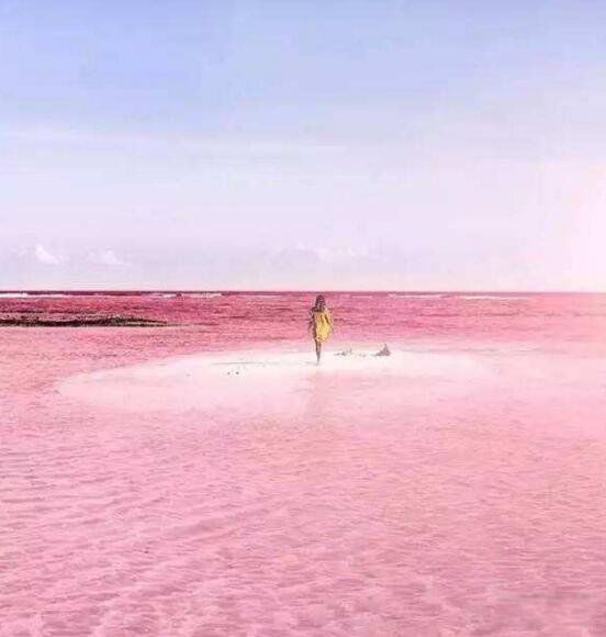 ϣ�պ��������� ϣ�պ�Ϊʲô�Ƿۺ�ɫ��