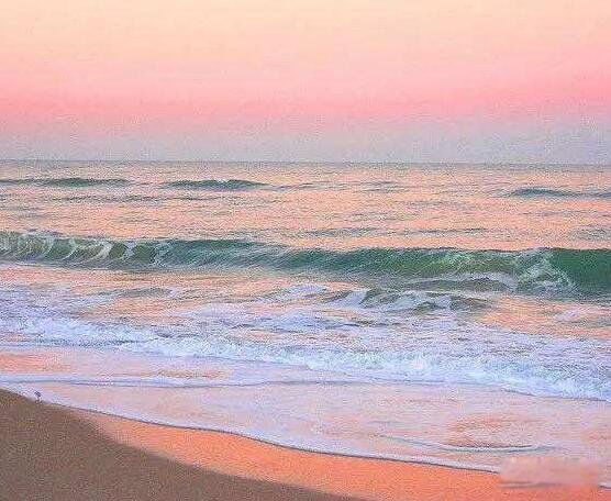 ϣ�պ��������� ϣ�պ�Ϊʲô�Ƿۺ�ɫ��