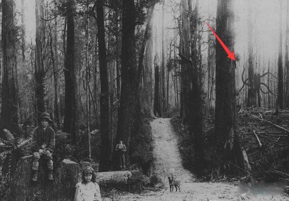 ɱͯħ��˭ ���д�˵�ݳ���Ӱslender man��ʲô��