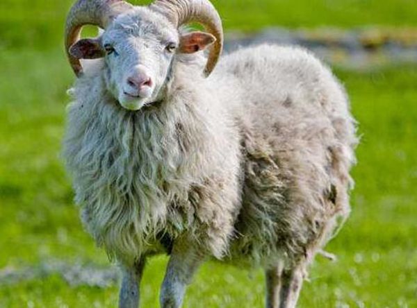 �������Ǵ�������ȡ�� �����͵���������;��ʲô