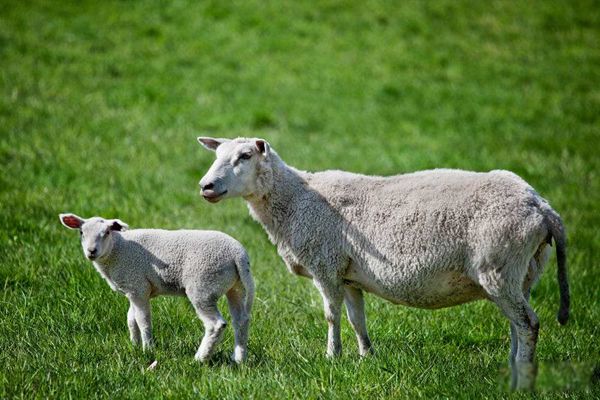 �������Ǵ�������ȡ�� �����͵���������;��ʲô